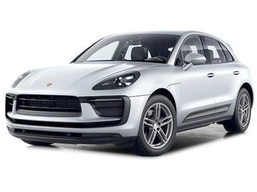 Macan
