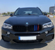 Решетка радиатора ноздри BMW X5 F15 X5M F85 X6 F16 X6M F86 M-Сolor Двойные Глянец (2013-2018) 7520 фото 7