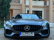 Решетка радиатора на MercedesAMG GT C190 ( 2 door ) 2015-2017 (Стиль GT) Черная AMGGT-151 фото 4
