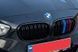 Решітка радіатора ніздрі BMW F20 F21 Подвійні M-Color Глянець (2011-2015) BMW-F20135 фото 2